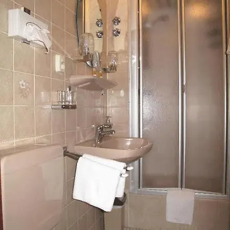 Villa Flora Hotel 3* Bonn